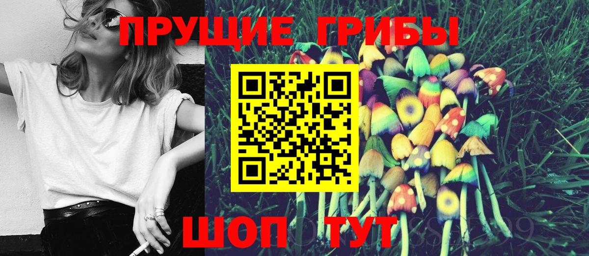 Щёкино  Псилоцибиновые грибы Psilocybe  Вход с VPN 